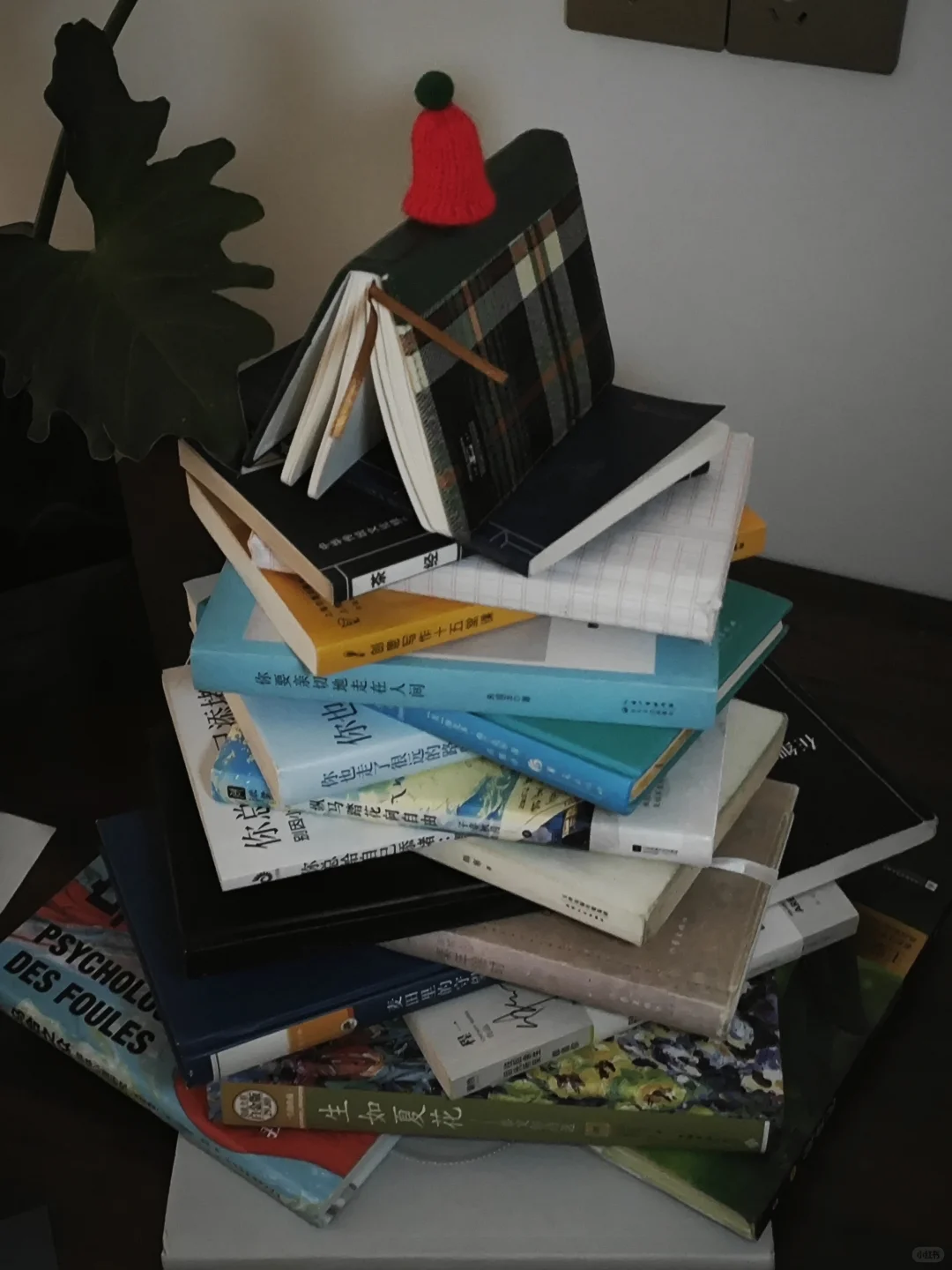 圣诞书?幸好还有书籍 想看大家的圣诞树