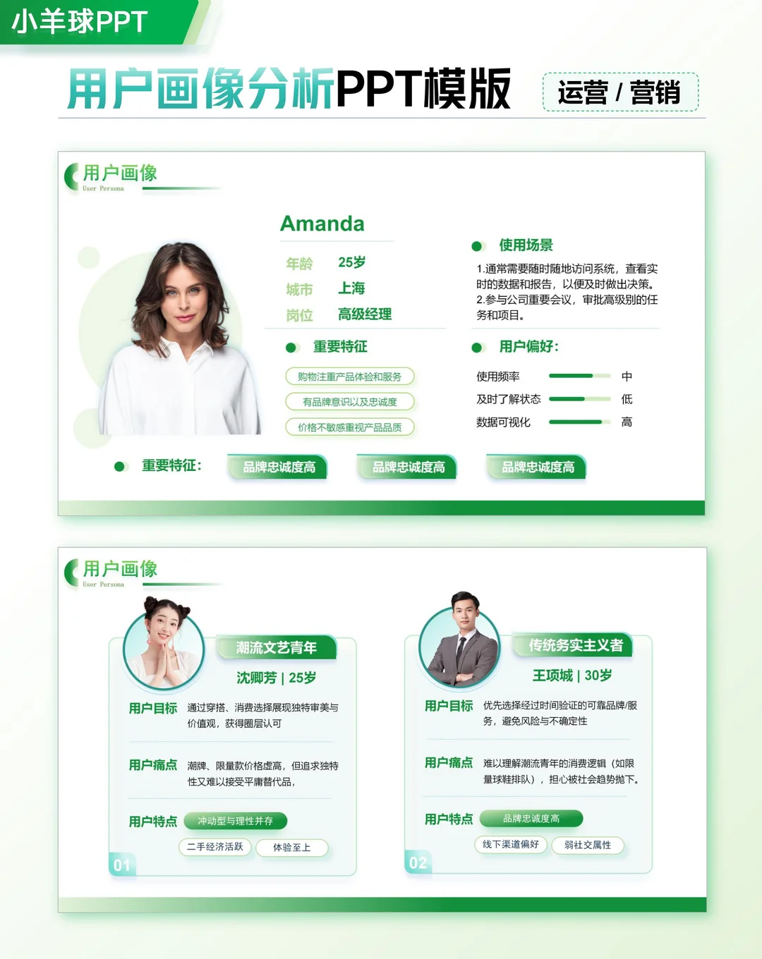 用户画像分析PPT模版，领导看了都夸！