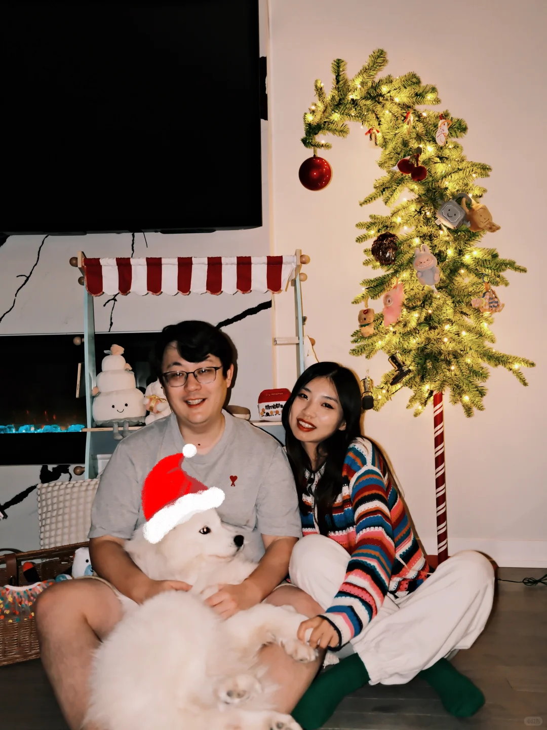 和ee炫耀，小狗也有歪脖子圣诞树啦?