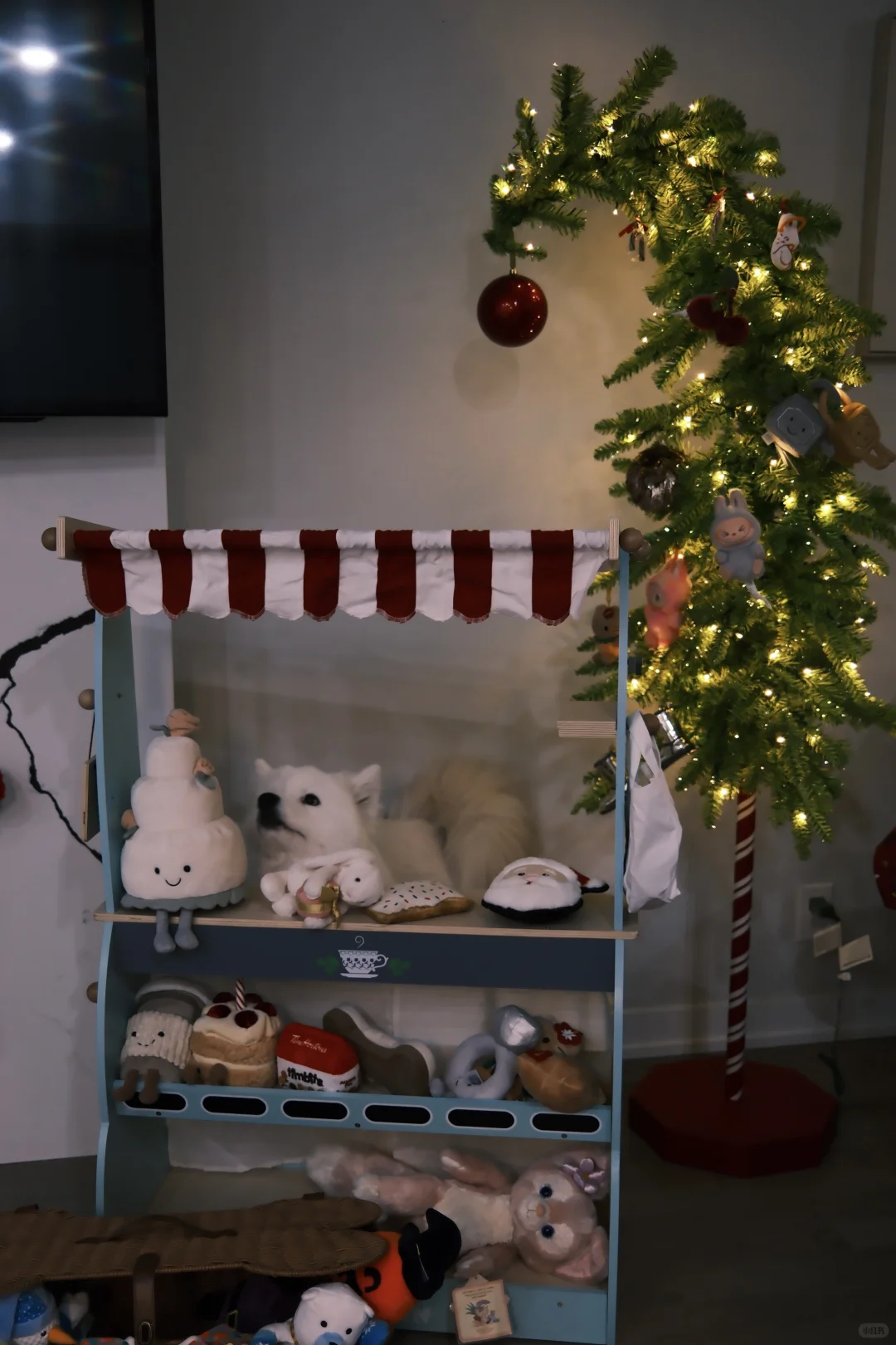 和ee炫耀，小狗也有歪脖子圣诞树啦?