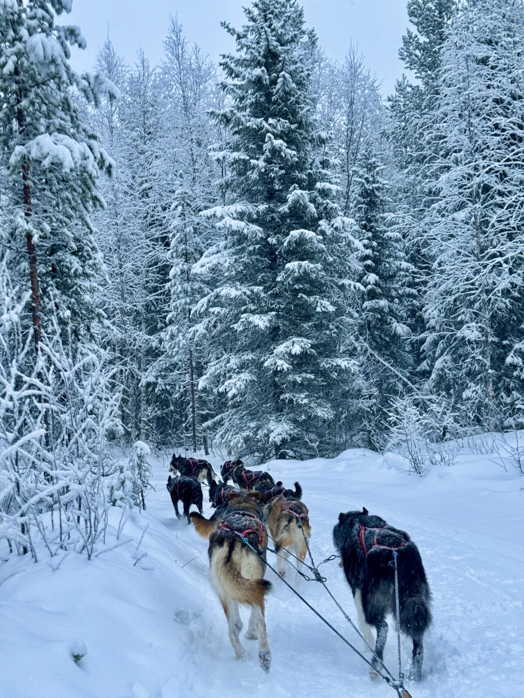 你我都一样，人生都是因为一些瞬间而发光?
