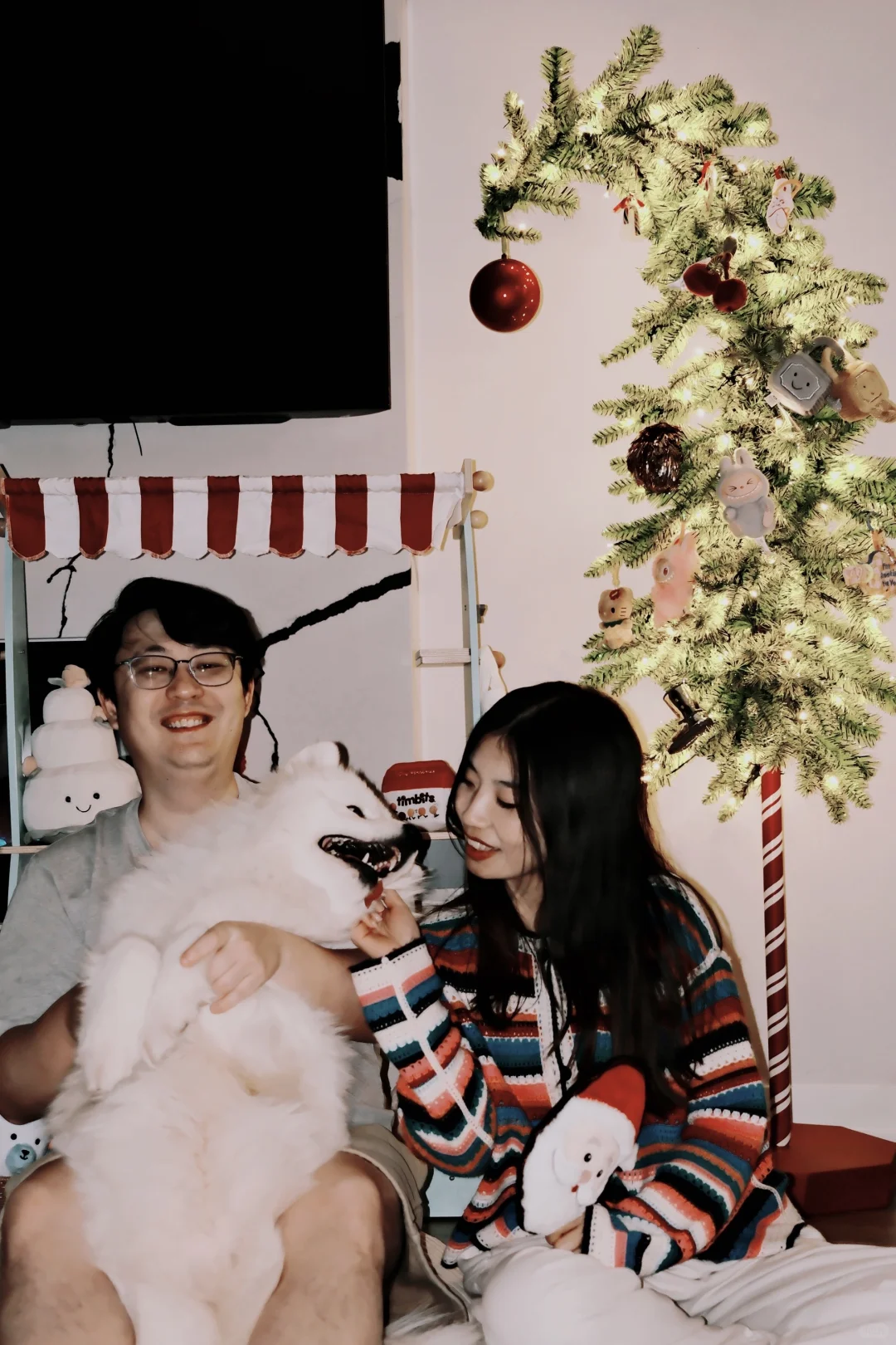 和ee炫耀，小狗也有歪脖子圣诞树啦?