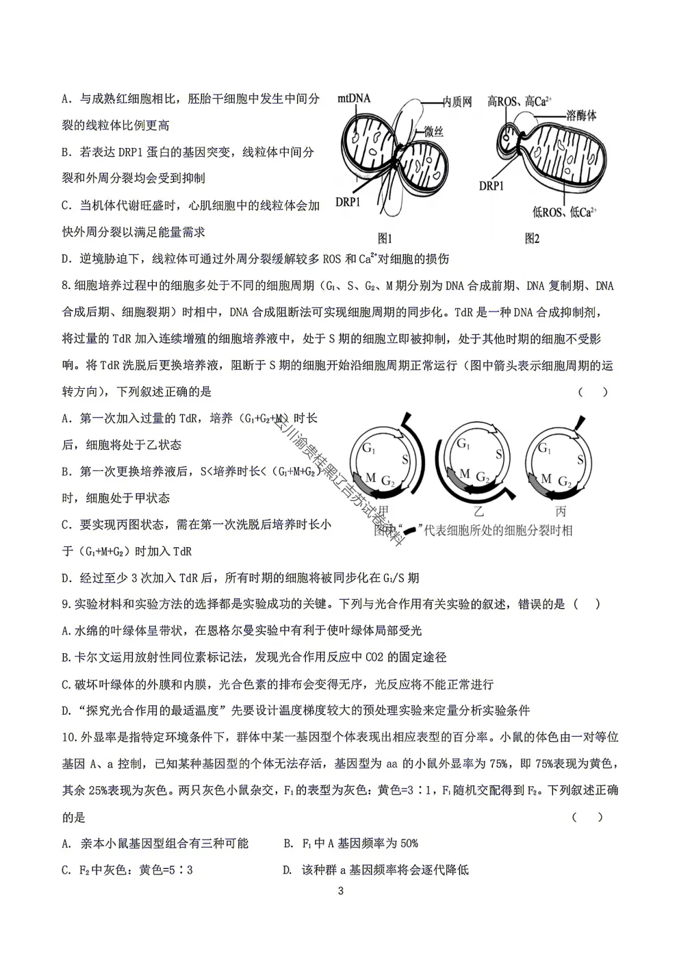 2027届成都七中高三8月开学考试生物试卷-第5张图片-四季读书网