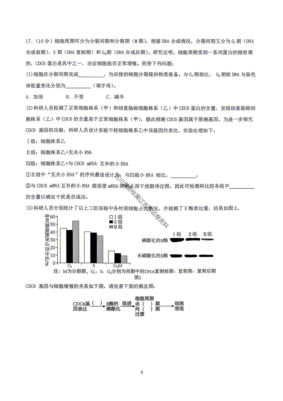 2027届成都七中高三8月开学考试生物试卷-第8张图片-四季读书网