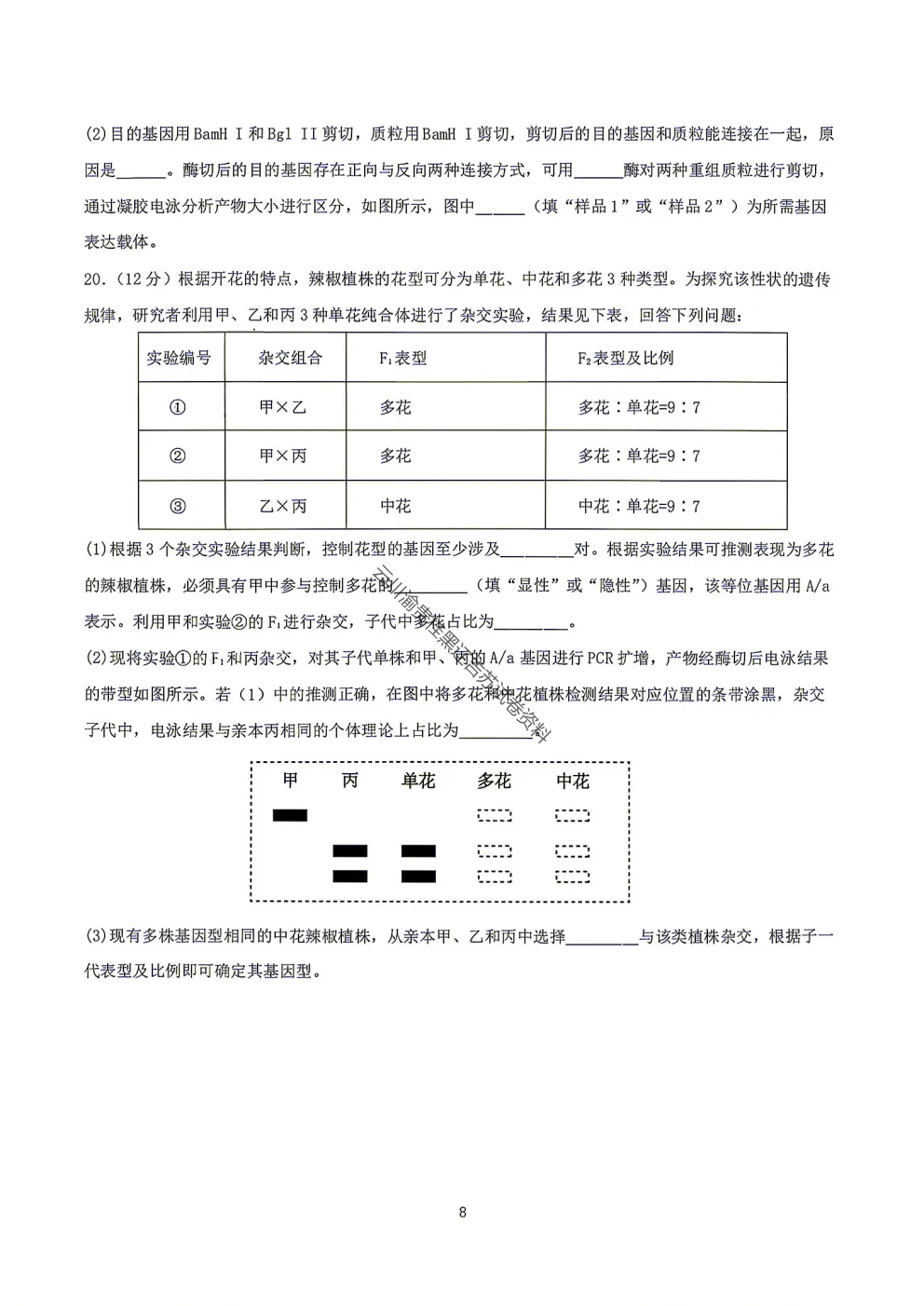 2027届成都七中高三8月开学考试生物试卷-第10张图片-四季读书网