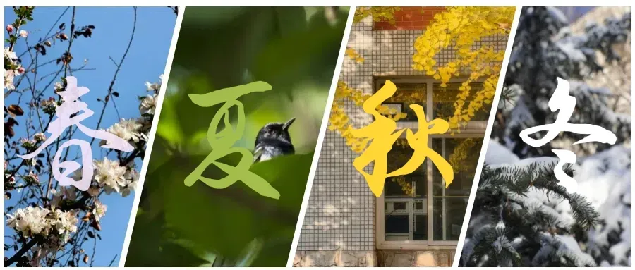 学院动态|理学院开展2025届考研模拟考试总结及慰问活动-第6张图片-四季读书网 学院动态|理学院开展2025届考研模拟考试总结及慰问活动-第6张图片-四季读书网