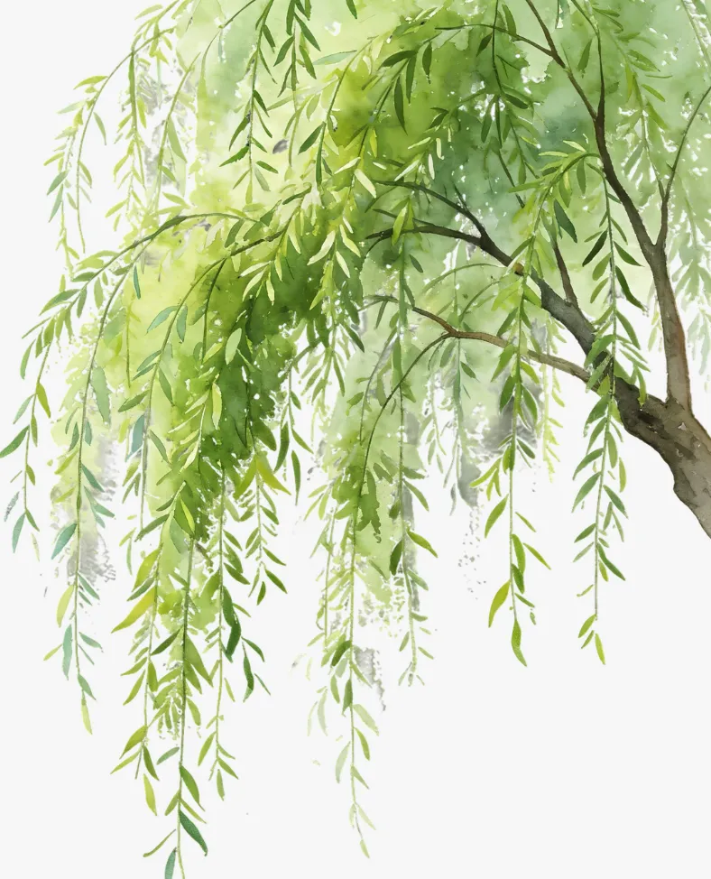 【助力中考】初中必须掌握精彩范文147-第4张图片-四季读书网 【助力中考】初中必须掌握精彩范文147-第4张图片-四季读书网