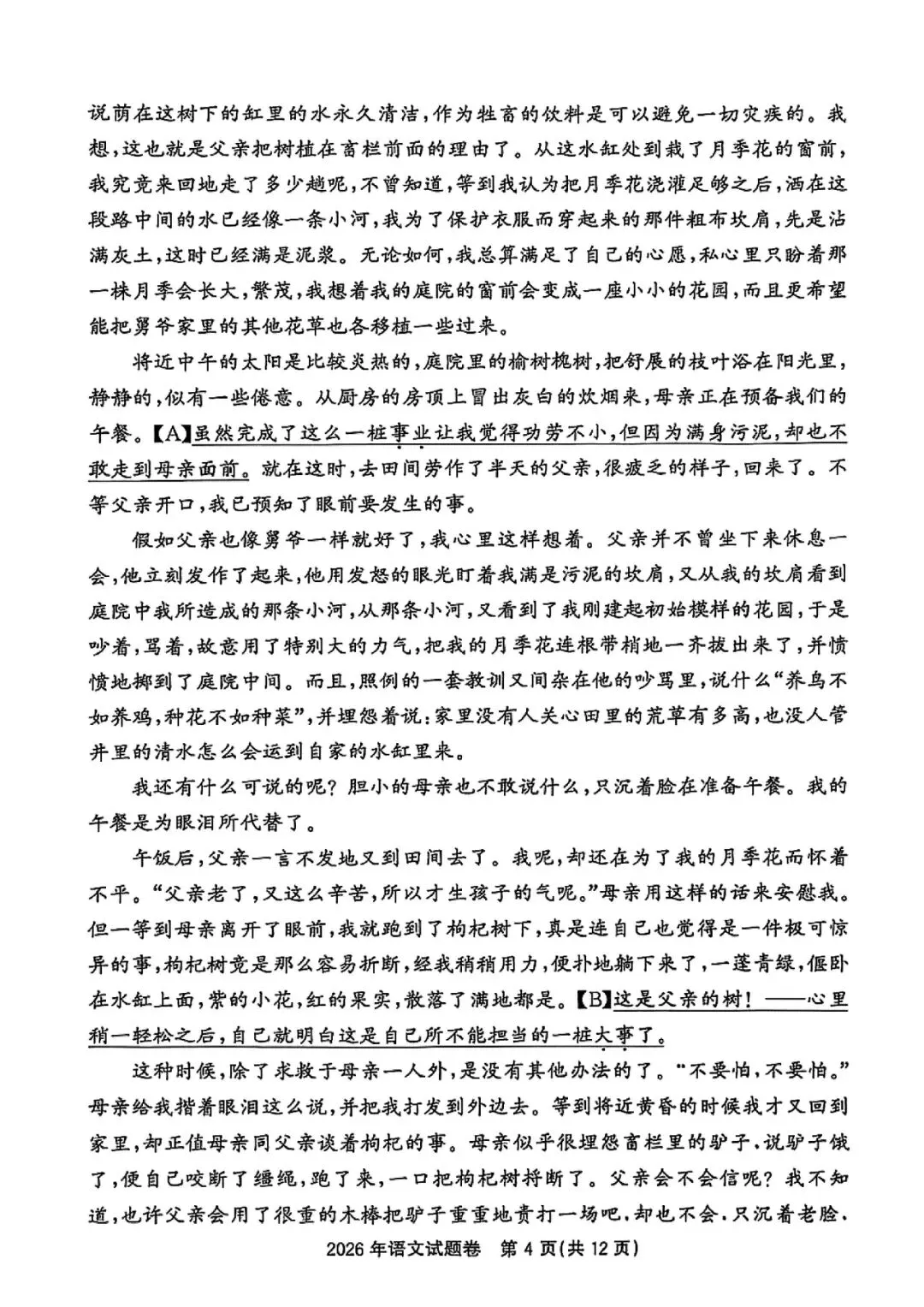 2026浙江中考真题(科学英语语文数学社会全科)-第22张图片-四季读书网