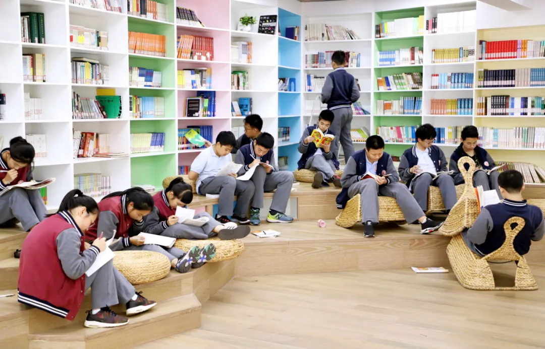 观成教育集团中考成绩来了!今年“再创辉煌”!-第14张图片-四季读书网 观成教育集团中考成绩来了!今年“再创辉煌”!-第14张图片-四季读书网