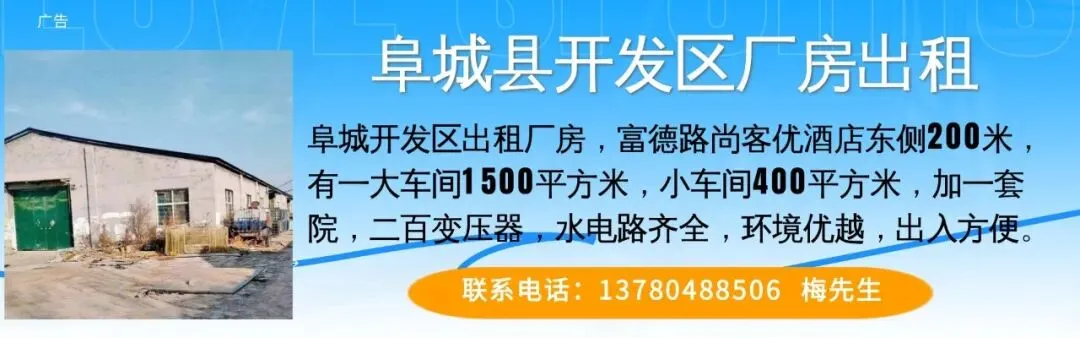 阜城县2026年中考成绩发布-第1张图片-四季读书网 阜城县2026年中考成绩发布-第1张图片-四季读书网