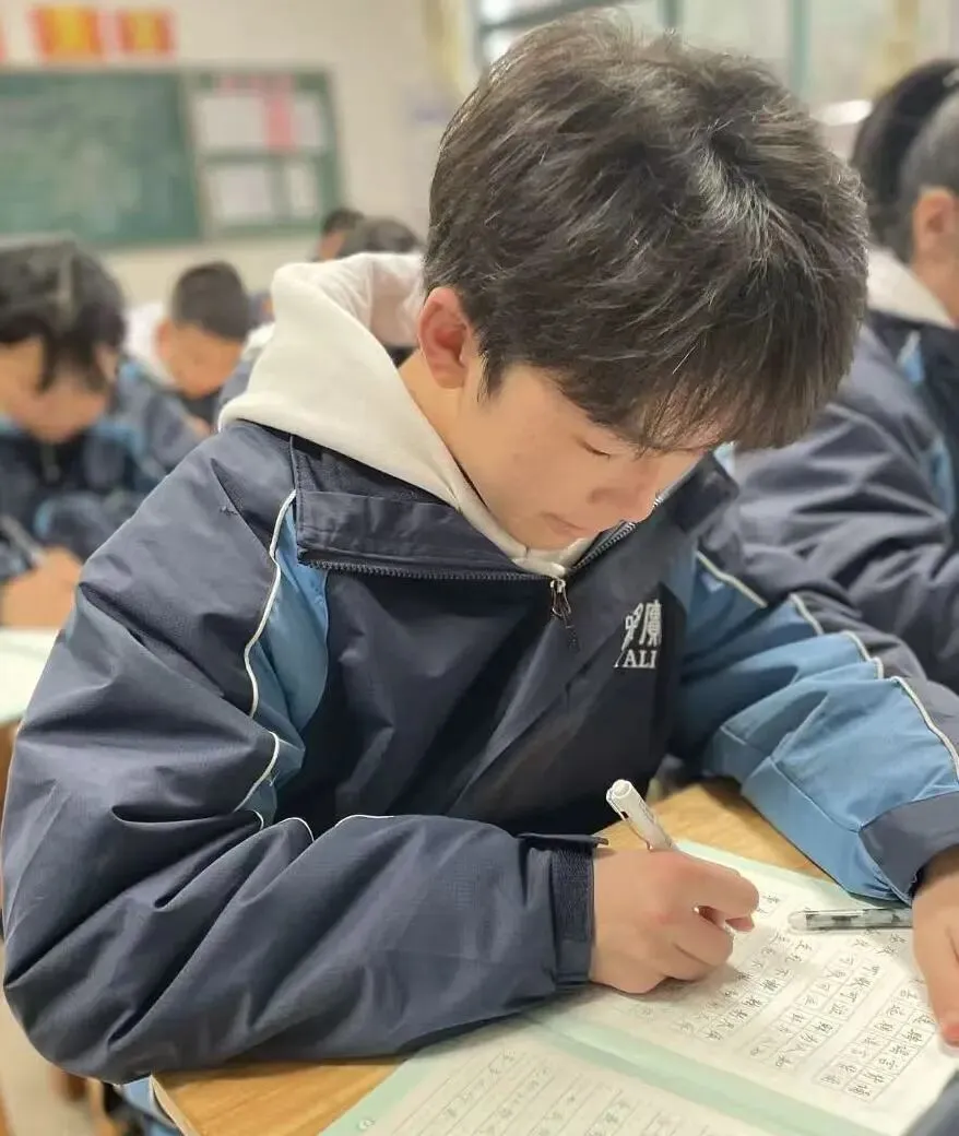 学长经验分享(一):中考语文110+学长,聊聊初一语文打底的关键习惯-第1张图片-四季读书网 学长经验分享(一):中考语文110+学长,聊聊初一语文打底的关键习惯-第1张图片-四季读书网