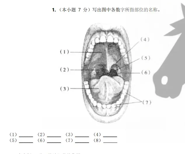 山东春考医学技术历年真题识图题汇总(2015年—2026年)!-第8张图片-四季读书网 山东春考医学技术历年真题识图题汇总(2015年—2026年)!-第8张图片-四季读书网