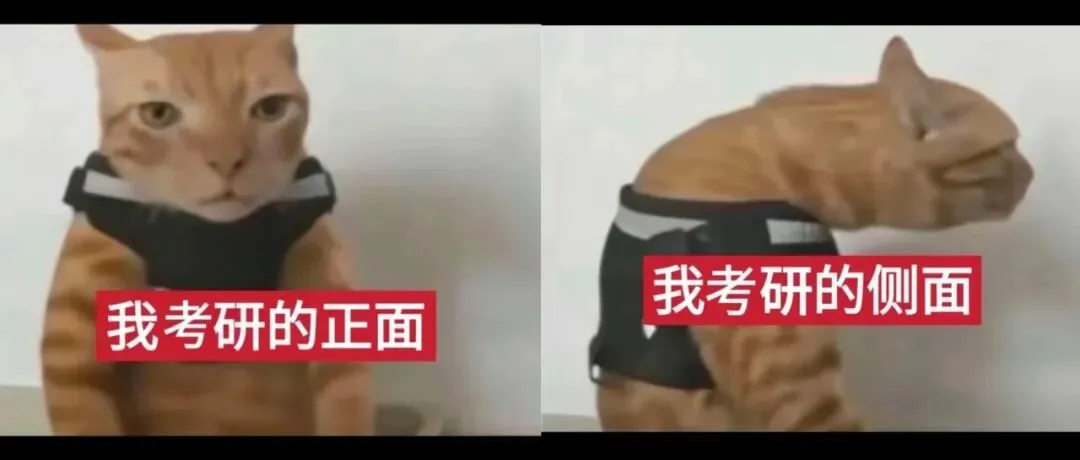 真题D6️为什么考研人想“休息”这么难?-第5张图片-四季读书网 真题D6️为什么考研人想“休息”这么难?-第5张图片-四季读书网