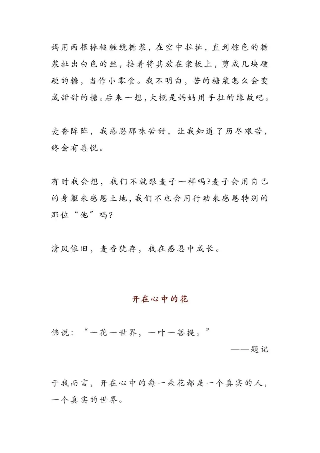 初中语文 | 5篇小标题中考满分作文,总有一篇让你受益匪浅!(可打印)-第7张图片-四季读书网