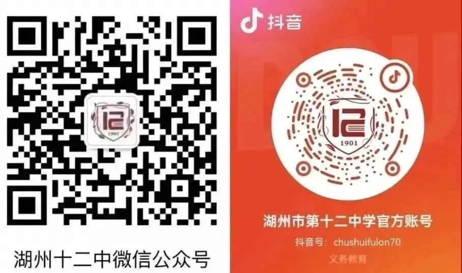 解码中考命题 互鉴教学良方-第71张图片-四季读书网 解码中考命题 互鉴教学良方-第71张图片-四季读书网