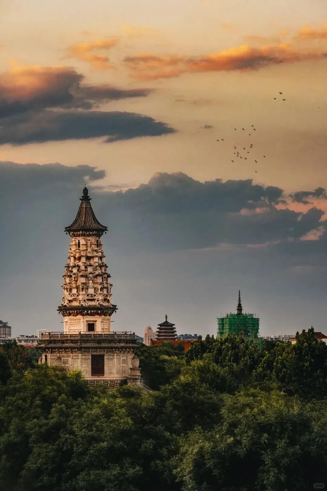 27文博考研丨全国文博院校考研真题合集超全汇总!-第9张图片-四季读书网 27文博考研丨全国文博院校考研真题合集超全汇总!-第9张图片-四季读书网