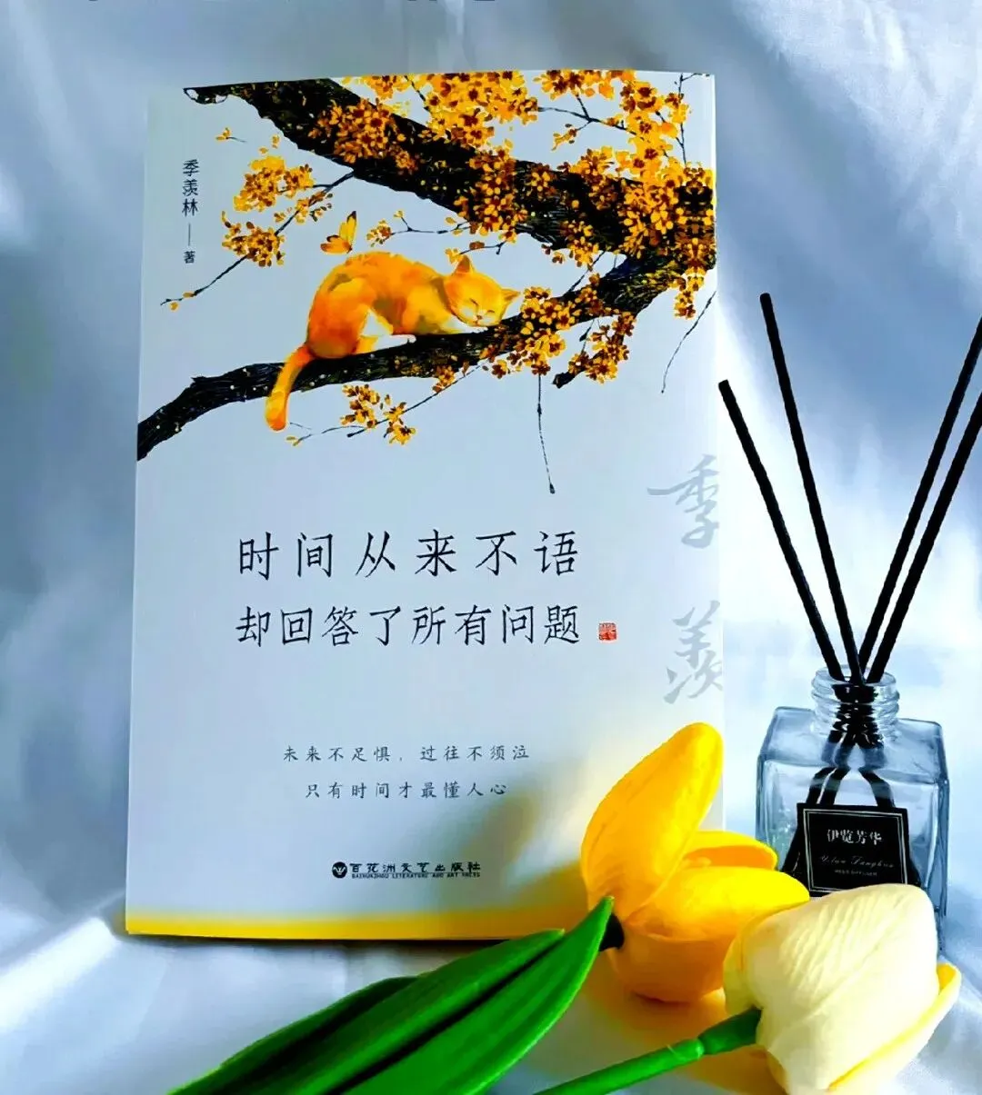 2027中考作文模拟题及范文:埋在时间深处的_____(九年连中!你说中不中!)-第3张图片-四季读书网 2027中考作文模拟题及范文:埋在时间深处的_____(九年连中!你说中不中!)-第3张图片-四季读书网