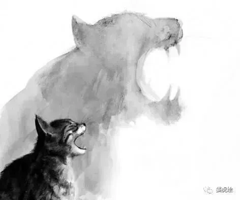 猫虎绘规划理论真题解析|西南交通大学2023年城乡规划基础(356)-第5张图片-四季读书网