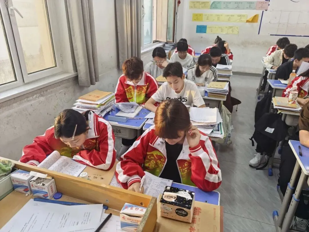 晨光映书香,早读正当时|成功中考二校学子不负晨光,笃学奋进-第5张图片-四季读书网 晨光映书香,早读正当时|成功中考二校学子不负晨光,笃学奋进-第5张图片-四季读书网