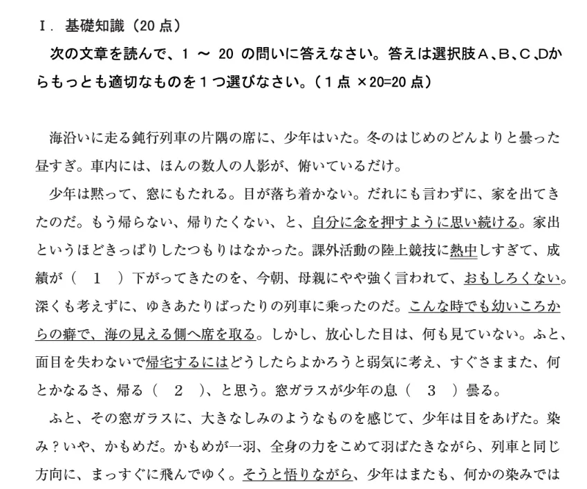 2027考研日语必备:2005-2026年203日语考研真题试卷及参考答案PDF合集-第3张图片-四季读书网 2027考研日语必备:2005-2026年203日语考研真题试卷及参考答案PDF合集-第3张图片-四季读书网