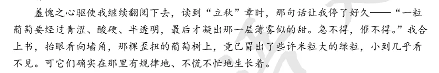 【初中生作文精选】中考高频作文之“成长”主题——“少年与_____”-第4张图片-四季读书网 【初中生作文精选】中考高频作文之“成长”主题——“少年与_____”-第4张图片-四季读书网