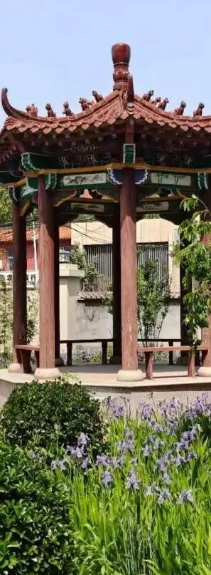 河北中职迎来大变化!贯通培养进入中考提前批,对口高考规模持续扩大-第14张图片-四季读书网