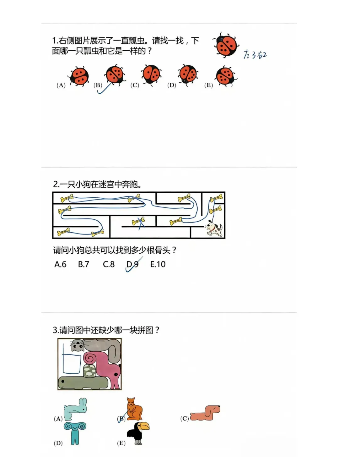 袋鼠数学竞赛真题电子版!电子版可打印-第1张图片-四季读书网