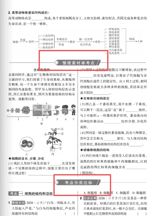 2027《中考对策》重磅上线!紧跟命题新趋势-第14张图片-四季读书网 2027《中考对策》重磅上线!紧跟命题新趋势-第14张图片-四季读书网
