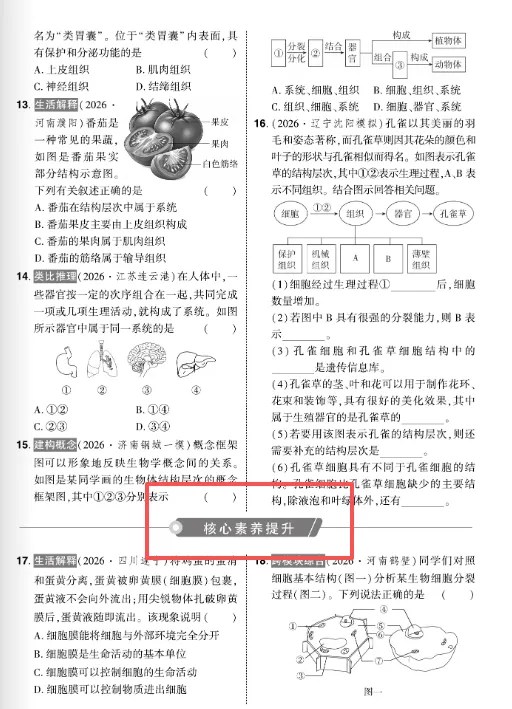 2027《中考对策》重磅上线!紧跟命题新趋势-第15张图片-四季读书网 2027《中考对策》重磅上线!紧跟命题新趋势-第15张图片-四季读书网