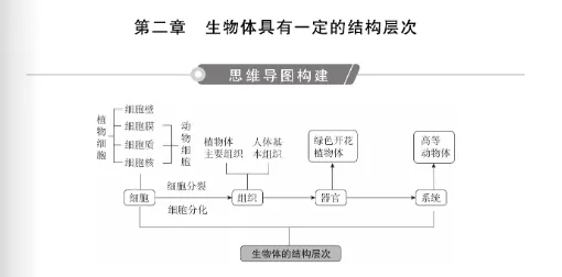 2027《中考对策》重磅上线!紧跟命题新趋势-第19张图片-四季读书网 2027《中考对策》重磅上线!紧跟命题新趋势-第19张图片-四季读书网