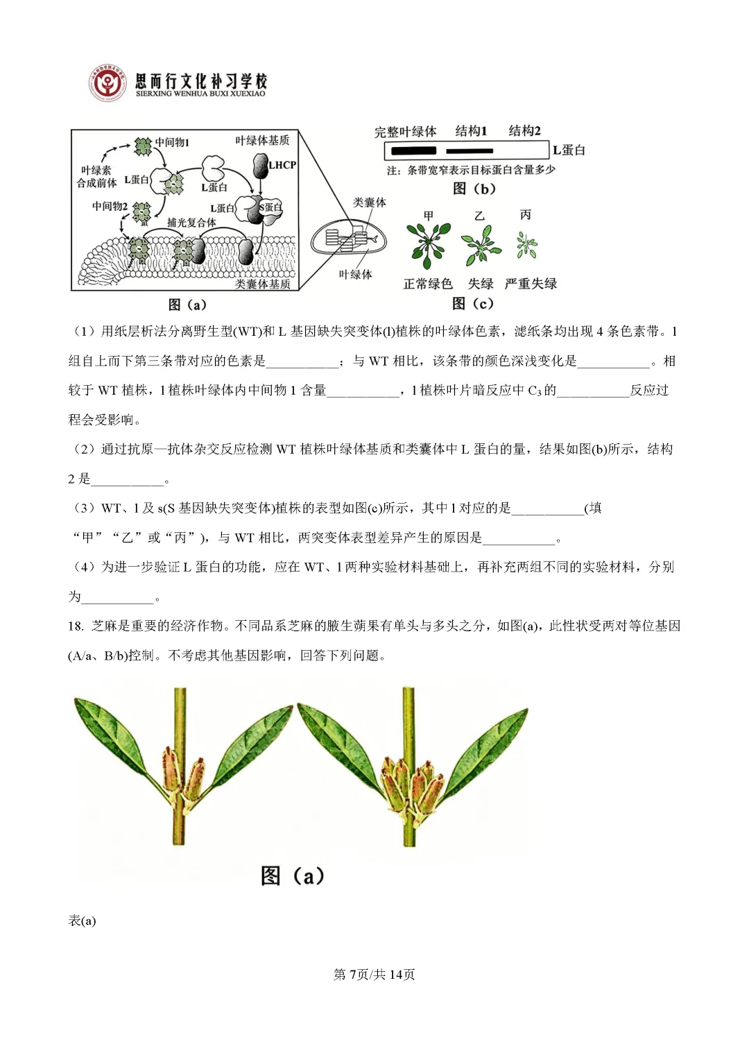 【高考志愿】2026年山西高考真题试题及答案(九科)-第70张图片-四季读书网 【高考志愿】2026年山西高考真题试题及答案(九科)-第70张图片-四季读书网