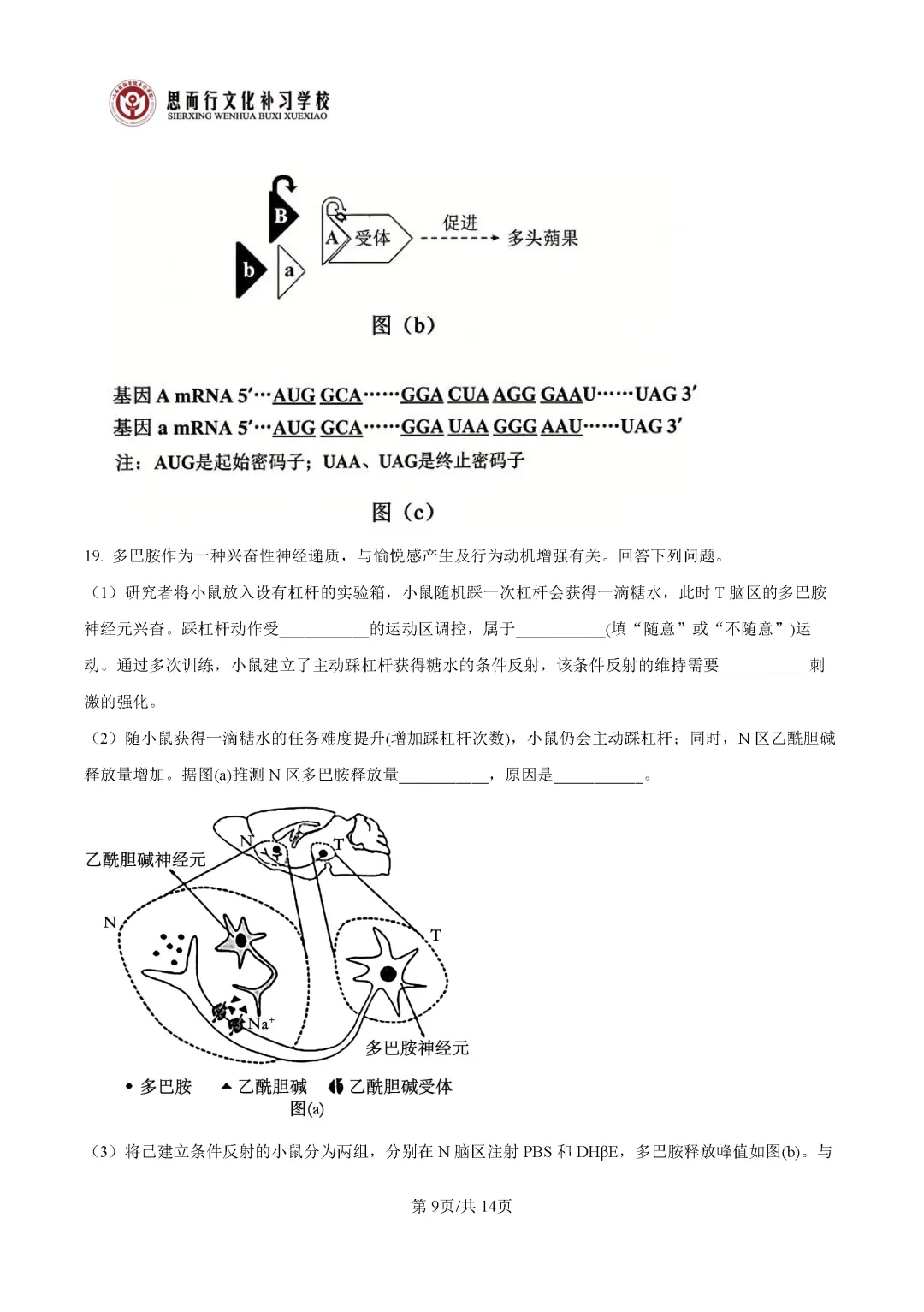 【高考志愿】2026年山西高考真题试题及答案(九科)-第72张图片-四季读书网 【高考志愿】2026年山西高考真题试题及答案(九科)-第72张图片-四季读书网