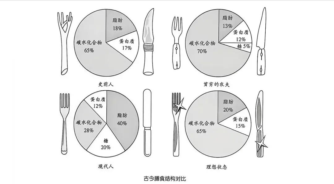 营养不是满分试卷,而是可以慢慢改的选择题-第1张图片-四季读书网 营养不是满分试卷,而是可以慢慢改的选择题-第1张图片-四季读书网