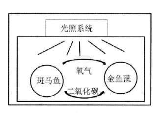 2026年中考非连续性文本阅读汇编2-第1张图片-四季读书网 2026年中考非连续性文本阅读汇编2-第1张图片-四季读书网