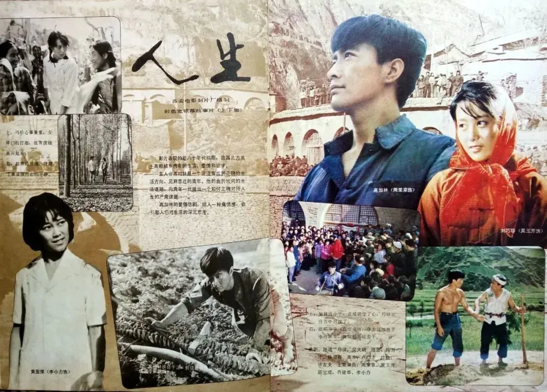 【中考阅读指导】我的“亲戚”路遥(陈仓)北京2026-第5张图片-四季读书网 【中考阅读指导】我的“亲戚”路遥(陈仓)北京2026-第5张图片-四季读书网