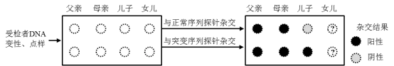 生物高考真题 | 2022年高考生物真题(广东卷)-第9张图片-四季读书网 生物高考真题 | 2022年高考生物真题(广东卷)-第9张图片-四季读书网