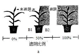 生物高考真题 | 2022年高考生物真题(广东卷)-第11张图片-四季读书网 生物高考真题 | 2022年高考生物真题(广东卷)-第11张图片-四季读书网