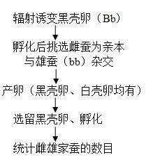 生物高考真题 | 2022年高考生物真题(广东卷)-第13张图片-四季读书网 生物高考真题 | 2022年高考生物真题(广东卷)-第13张图片-四季读书网