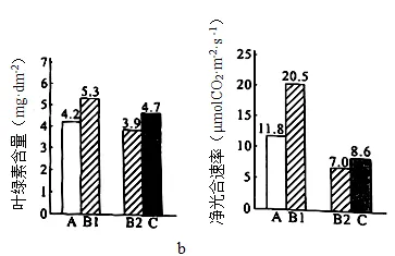 生物高考真题 | 2022年高考生物真题(广东卷)-第12张图片-四季读书网 生物高考真题 | 2022年高考生物真题(广东卷)-第12张图片-四季读书网