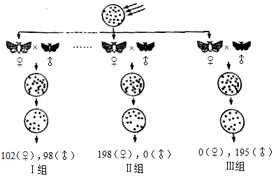 生物高考真题 | 2022年高考生物真题(广东卷)-第14张图片-四季读书网 生物高考真题 | 2022年高考生物真题(广东卷)-第14张图片-四季读书网