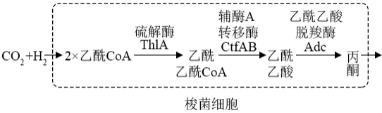 生物高考真题 | 2022年高考生物真题(广东卷)-第16张图片-四季读书网 生物高考真题 | 2022年高考生物真题(广东卷)-第16张图片-四季读书网