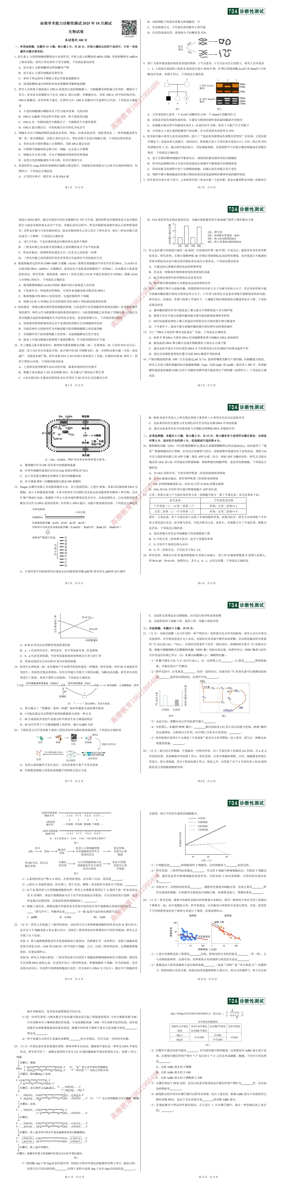 2025年10月诊断性测试八科试卷及答案参考-第22张图片-四季读书网