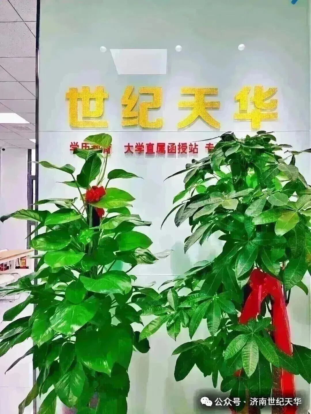 2026年成人高考(高起专)语文考试模拟-第28张图片-四季读书网 2026年成人高考(高起专)语文考试模拟-第28张图片-四季读书网