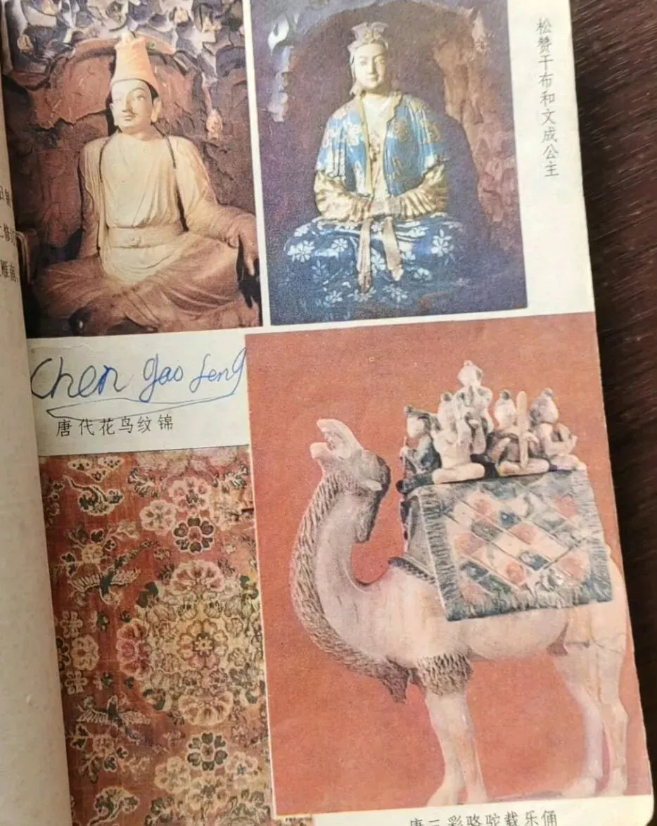漫谈中考历史不计入总分-第2张图片-四季读书网
