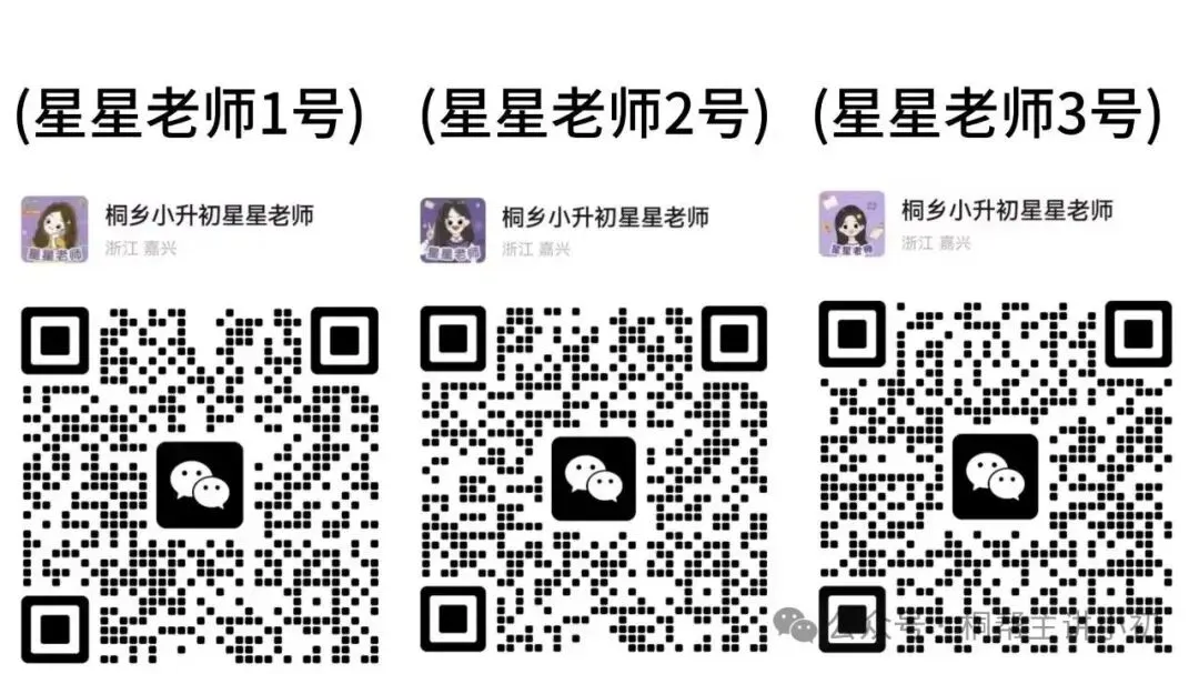 开学首场大考!桐乡初中去年9月月考真题,免费领取~-第5张图片-四季读书网 开学首场大考!桐乡初中去年9月月考真题,免费领取~-第5张图片-四季读书网