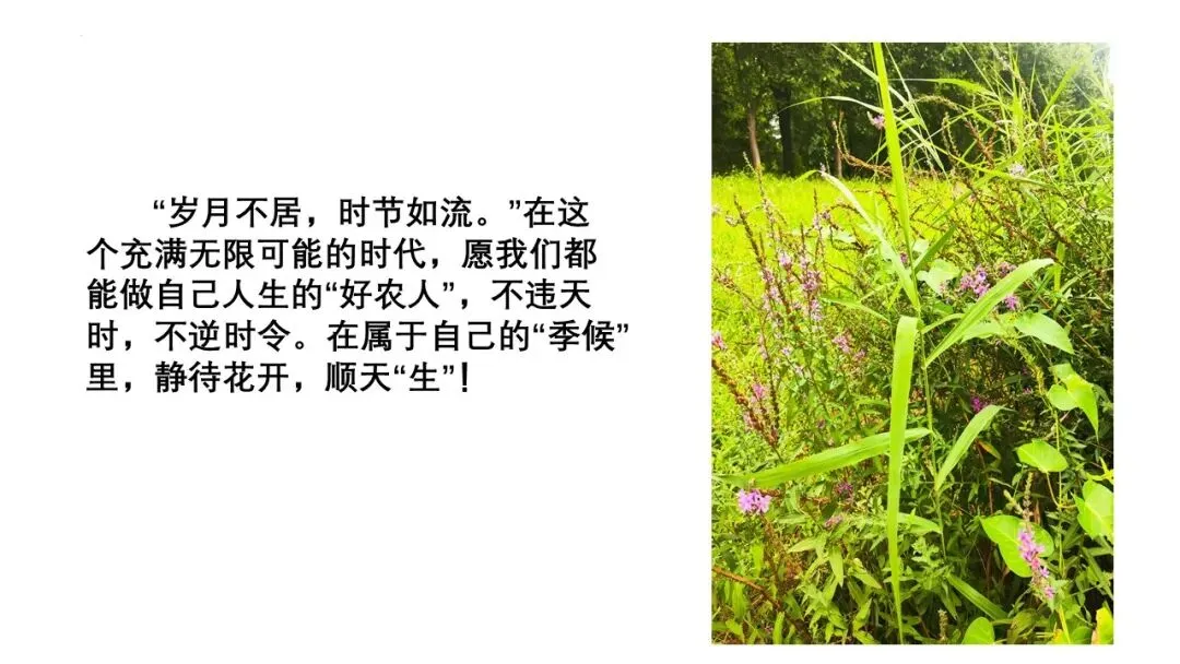 2027届高三最新模拟考试作文-第13张图片-四季读书网