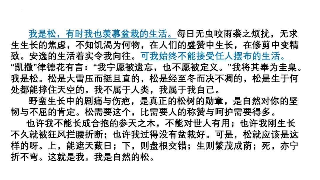 2027届高三最新模拟考试作文-第17张图片-四季读书网