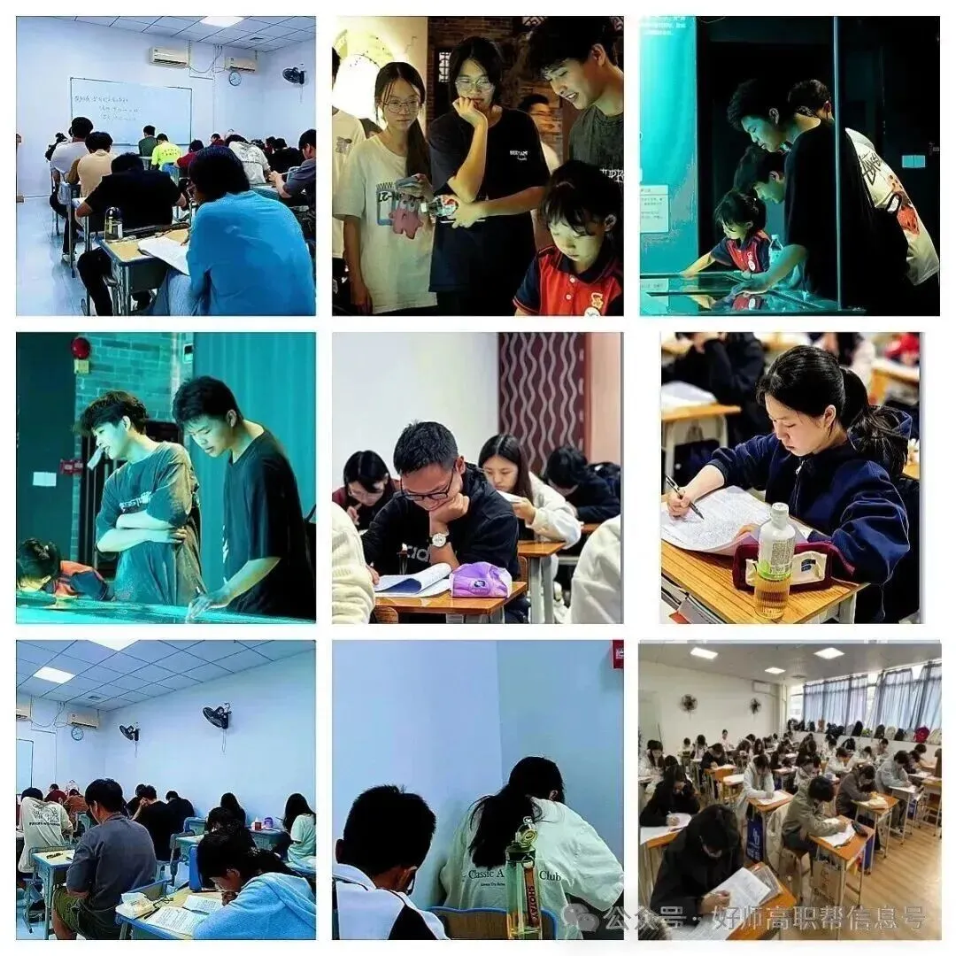 26年春季学考语数英真题卷!收藏!重做自查一下!-第52张图片-四季读书网 26年春季学考语数英真题卷!收藏!重做自查一下!-第52张图片-四季读书网