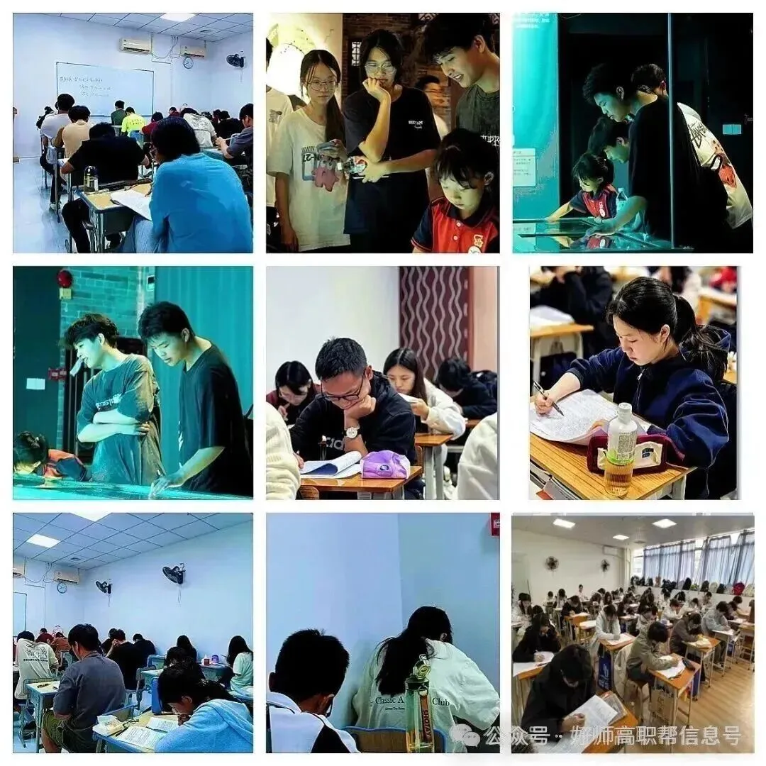 26年春季学考语数英真题卷!收藏!重做自查一下!-第59张图片-四季读书网 26年春季学考语数英真题卷!收藏!重做自查一下!-第59张图片-四季读书网