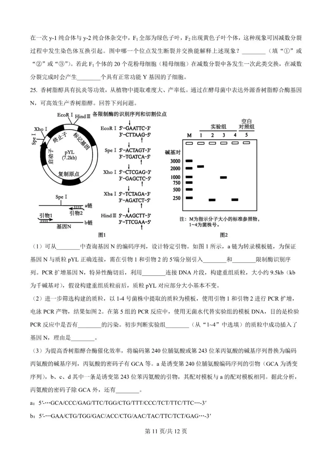 2026年辽宁高三模拟考试生物试题(三)-第23张图片-四季读书网